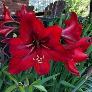 Meet your Posher, Judy